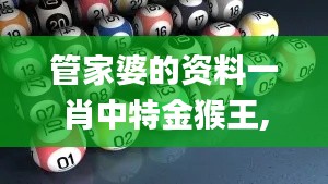 管家婆的资料一肖中特金猴王,全方位数据解析表述_EOM15.7