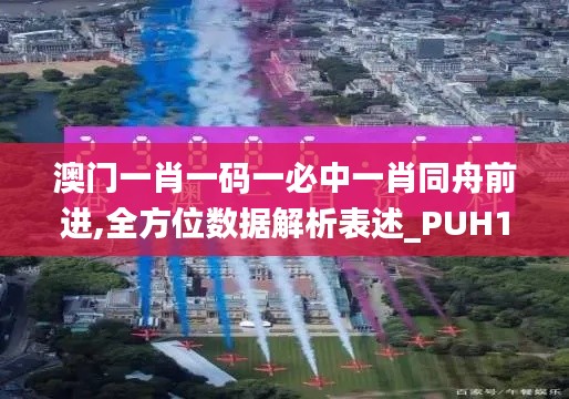 澳门一肖一码一必中一肖同舟前进,全方位数据解析表述_PUH15.10