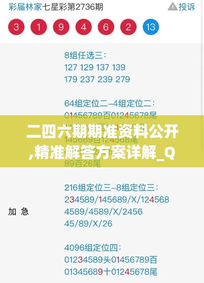 二四六期期准资料公开,精准解答方案详解_QUE15.38