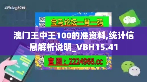 澳门王中王100的准资料,统计信息解析说明_VBH15.41