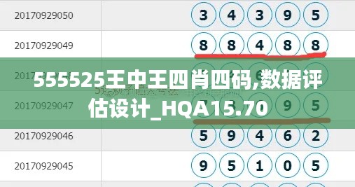 555525王中王四肖四码,数据评估设计_HQA15.70