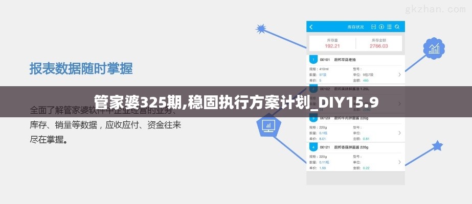 管家婆325期,稳固执行方案计划_DIY15.9