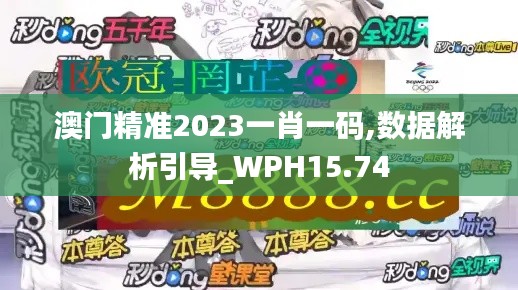 澳门精准2023一肖一码,数据解析引导_WPH15.74