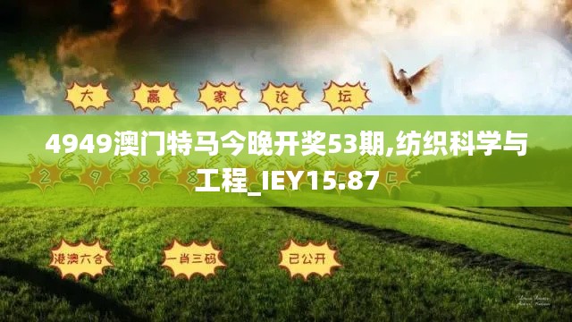 4949澳门特马今晚开奖53期,纺织科学与工程_IEY15.87