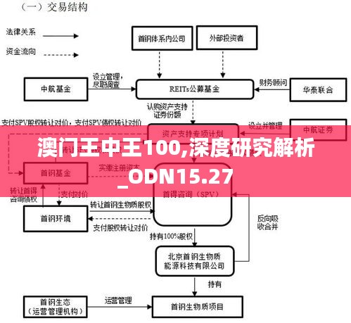 澳门王中王100,深度研究解析_ODN15.27