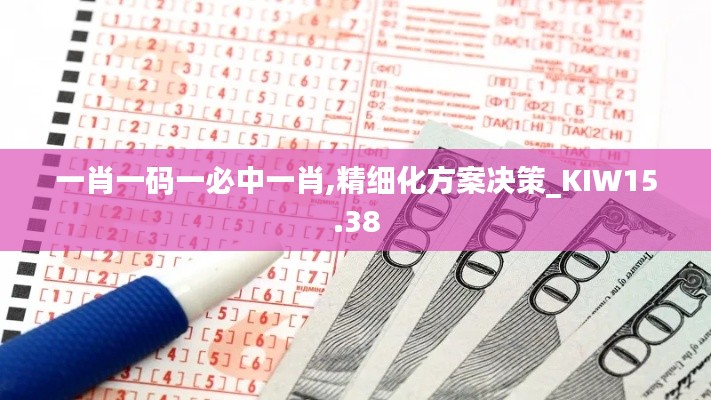 一肖一码一必中一肖,精细化方案决策_KIW15.38