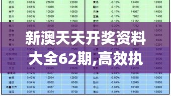 新澳天天开奖资料大全62期,高效执行方案_PGB15.9