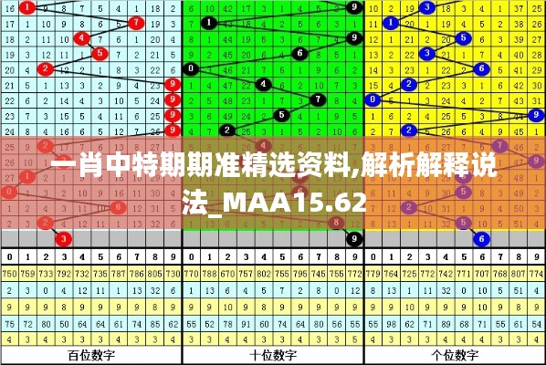 一肖中特期期准精选资料,解析解释说法_MAA15.62