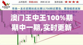 澳门王中王100%期期中一期,实时更新解释介绍_IRD15.58