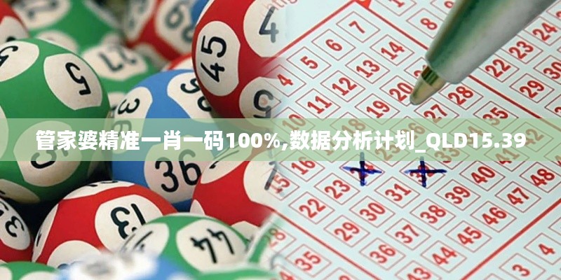 管家婆精准一肖一码100%,数据分析计划_QLD15.39