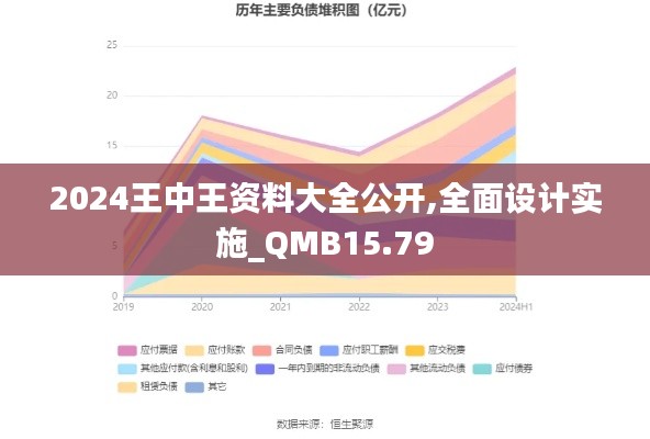 2024王中王资料大全公开,全面设计实施_QMB15.79