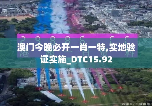 澳门今晚必开一肖一特,实地验证实施_DTC15.92