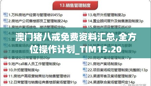 澳门猪八戒免费资料汇总,全方位操作计划_TIM15.20