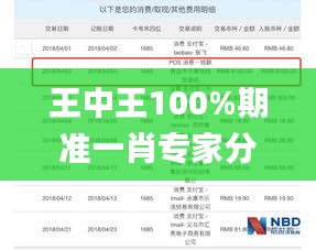 王中王100%期准一肖专家分析,数据整合解析计划_PUI15.24