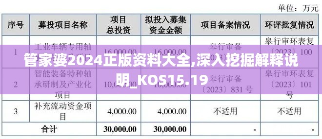 管家婆2024正版资料大全,深入挖掘解释说明_KOS15.19