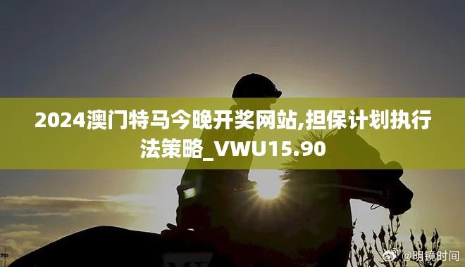 2024澳门特马今晚开奖网站,担保计划执行法策略_VWU15.90