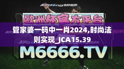 管家婆一码中一肖2024,时尚法则实现_JCA15.39