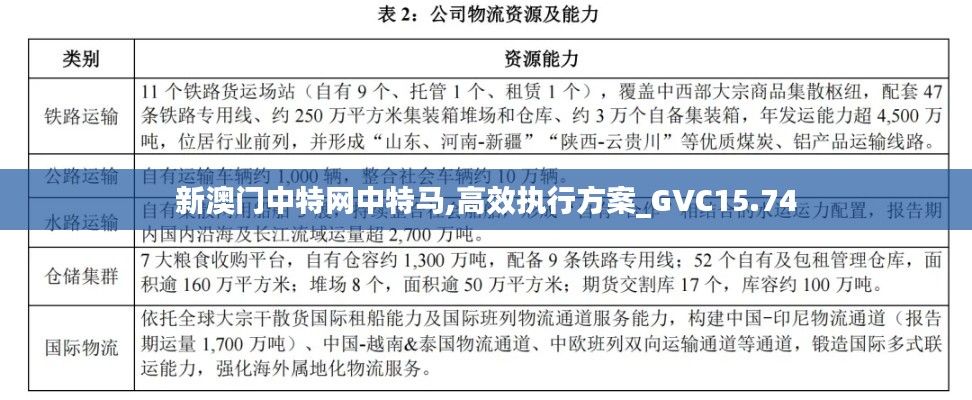 新澳门中特网中特马,高效执行方案_GVC15.74