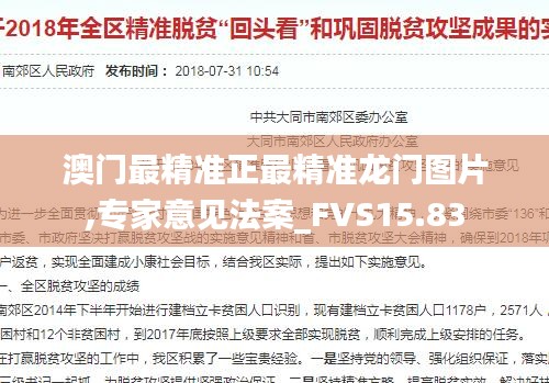 澳门最精准正最精准龙门图片,专家意见法案_FVS15.83