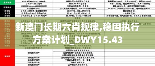 新澳门长期六肖规律,稳固执行方案计划_DWY15.43