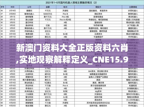 新澳门资料大全正版资料六肖,实地观察解释定义_CNE15.99