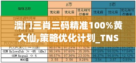 澳门三肖三码精准100%黄大仙,策略优化计划_TNS15.77