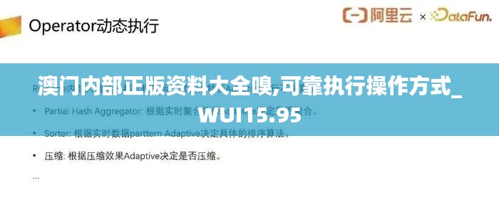 澳门内部正版资料大全嗅,可靠执行操作方式_WUI15.95