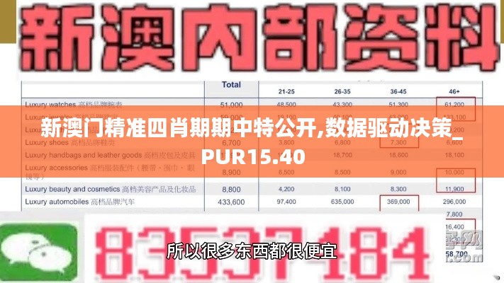 新澳门精准四肖期期中特公开,数据驱动决策_PUR15.40