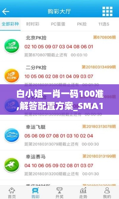 白小姐一肖一码100准,解答配置方案_SMA15.98