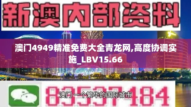 澳门4949精准免费大全青龙网,高度协调实施_LBV15.66