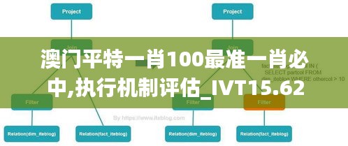 澳门平特一肖100最准一肖必中,执行机制评估_IVT15.62