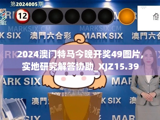 2024澳门特马今晚开奖49图片,实地研究解答协助_XJZ15.39