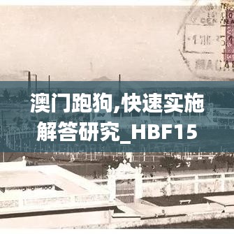 澳门跑狗,快速实施解答研究_HBF15.41