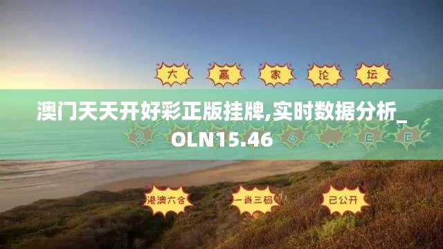 澳门天天开好彩正版挂牌,实时数据分析_OLN15.46