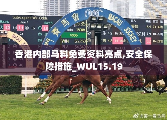 香港内部马料免费资料亮点,安全保障措施_WUL15.19