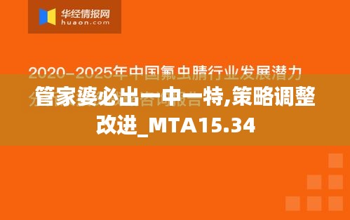 管家婆必出一中一特,策略调整改进_MTA15.34