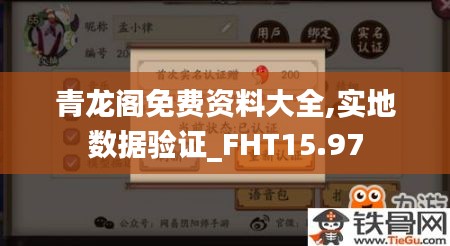 青龙阁免费资料大全,实地数据验证_FHT15.97