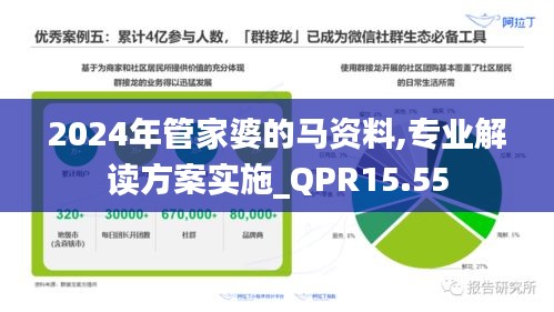 2024年管家婆的马资料,专业解读方案实施_QPR15.55