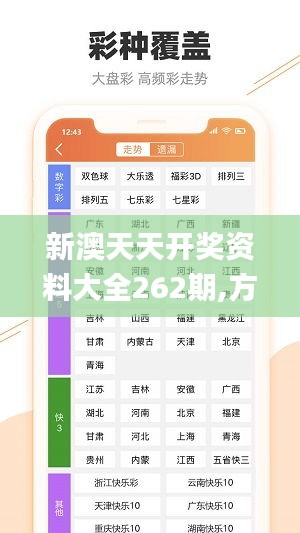 新澳天天开奖资料大全262期,方案优化实施_DDD15.53