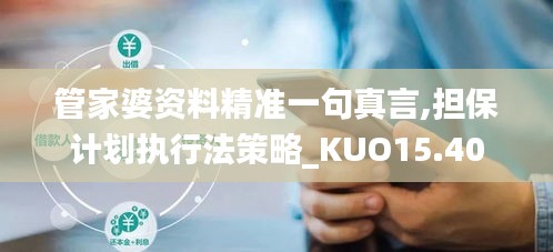 管家婆资料精准一句真言,担保计划执行法策略_KUO15.40