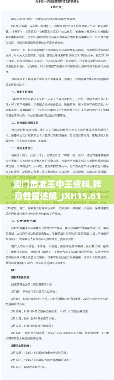 澳门最准王中王资料,释意性描述解_JXH15.61