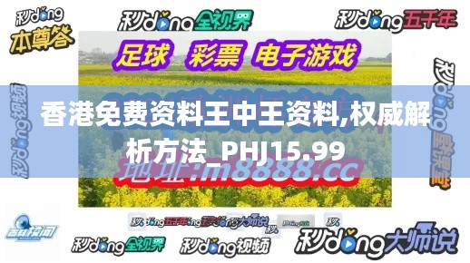 香港免费资料王中王资料,权威解析方法_PHJ15.99