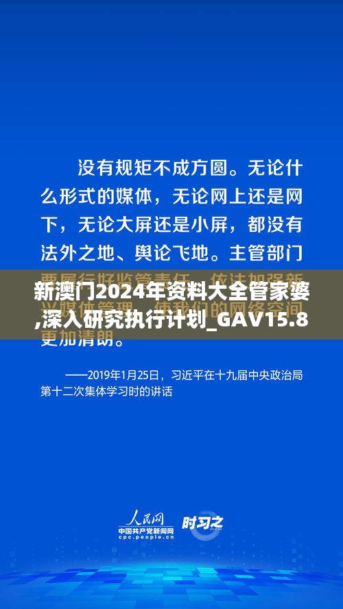 新澳门2024年资料大全管家婆,深入研究执行计划_GAV15.85