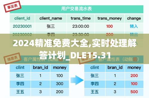 2024精准免费大全,实时处理解答计划_DLE15.31