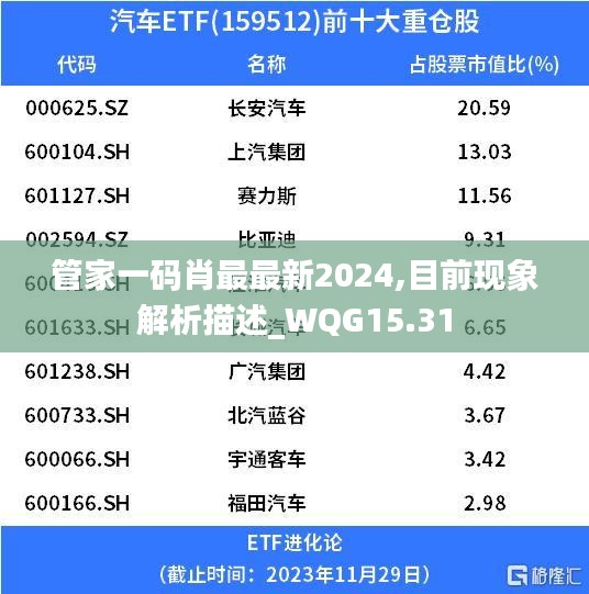 管家一码肖最最新2024,目前现象解析描述_WQG15.31