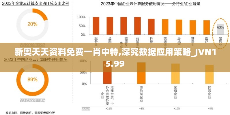 新奥天天资料免费一肖中特,深究数据应用策略_JVN15.99