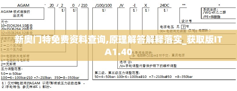 新奥门特免费资料查询,原理解答解释落实_获取版ITA1.40