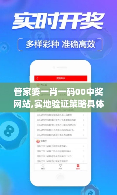 管家婆一肖一码00中奖网站,实地验证策略具体_DAO15.52