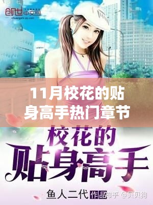 11月校花的贴身高手热门章节深度解析与介绍