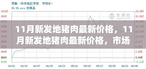 11月新发地猪肉最新价格及市场走势分析与购买指南